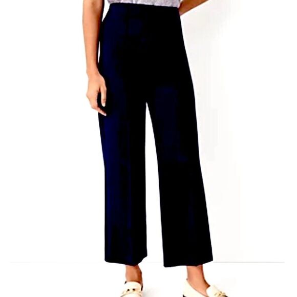 Ann Taylor The Side Zip Wide Leg Pleated Crop trouser slacks palazzo Pants XS - Picture 1 of 12